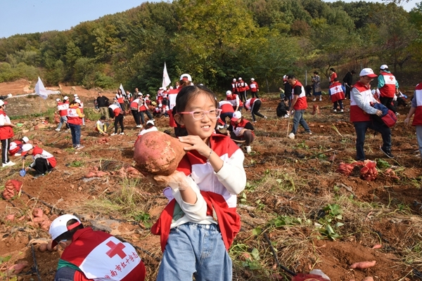 “淮小红”爱心蜜薯五年有约42