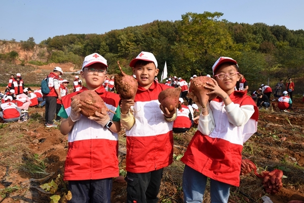 “淮小红”爱心蜜薯五年有约43