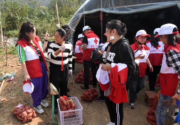 “淮小红”爱心蜜薯五年有约81