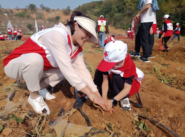 “淮小红”爱心蜜薯五年有约49