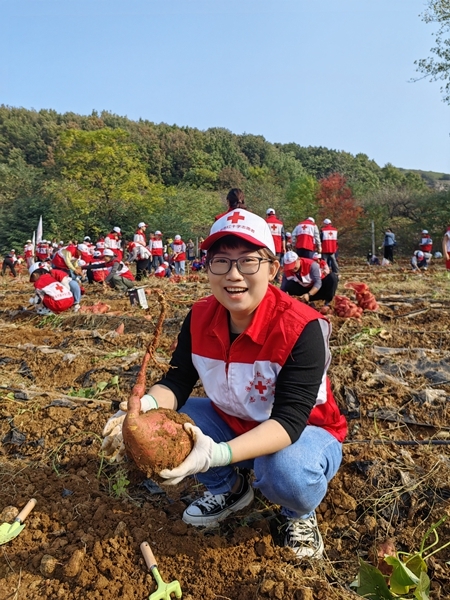 “淮小红”爱心蜜薯五年有约57