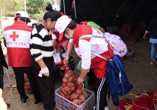 “淮小红”爱心蜜薯五年有约82