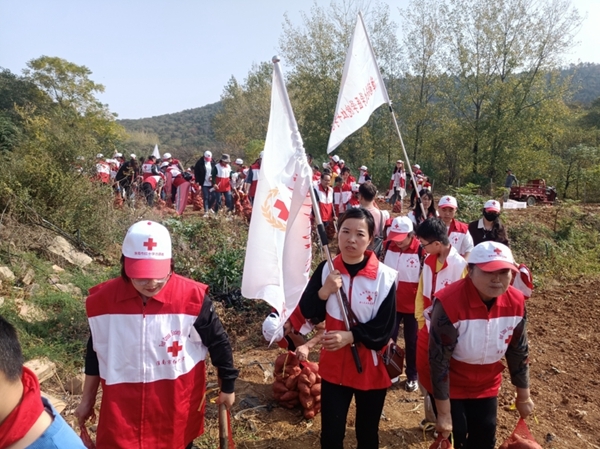 “淮小红”爱心蜜薯五年有约63