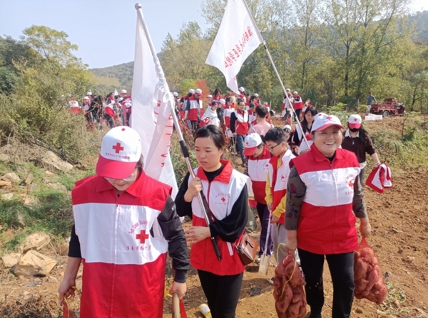 “淮小红”爱心蜜薯五年有约64