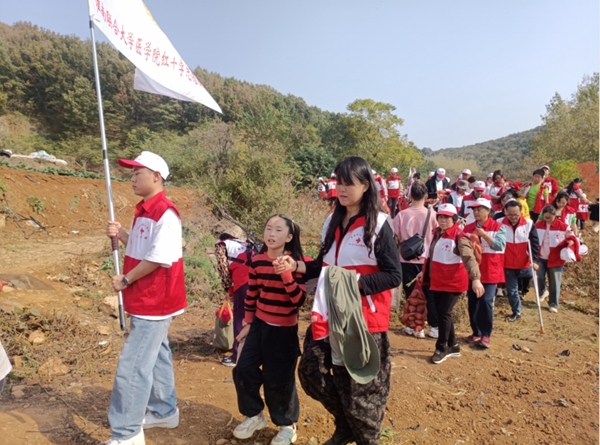 “淮小红”爱心蜜薯五年有约65