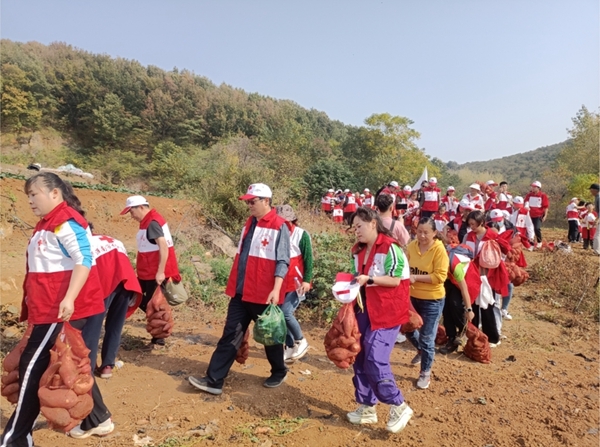 “淮小红”爱心蜜薯五年有约66