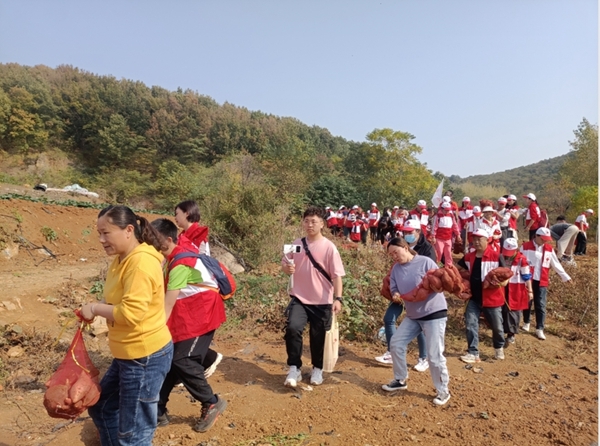 “淮小红”爱心蜜薯五年有约67