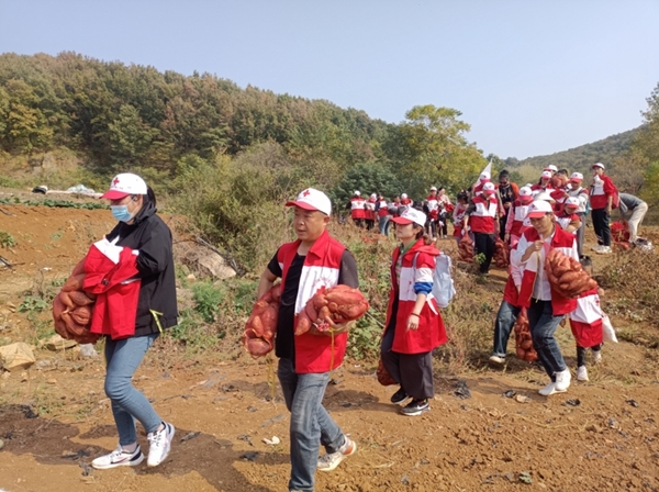 “淮小红”爱心蜜薯五年有约68