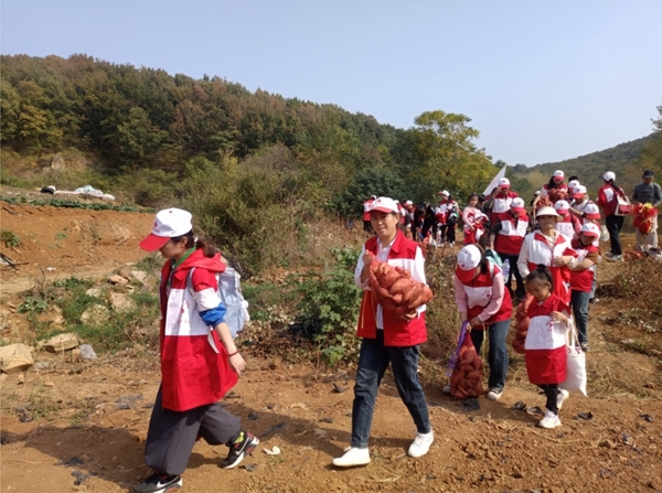 “淮小红”爱心蜜薯五年有约69