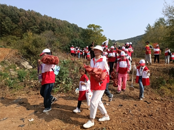 “淮小红”爱心蜜薯五年有约70