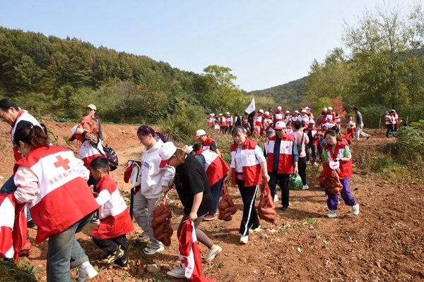 “淮小红”爱心蜜薯五年有约72