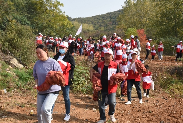 “淮小红”爱心蜜薯五年有约74