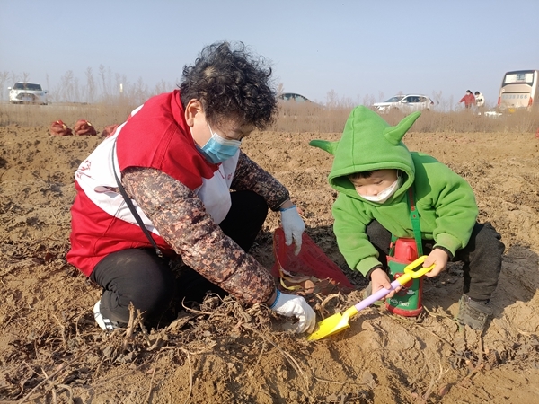 “淮小红”“爱心蜜薯”再掀热潮12