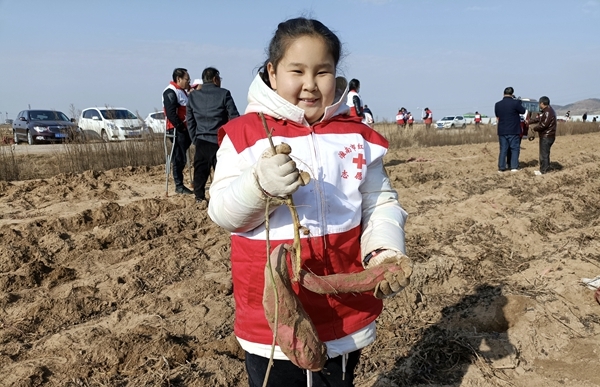 “淮小红”“爱心蜜薯”再掀热潮16