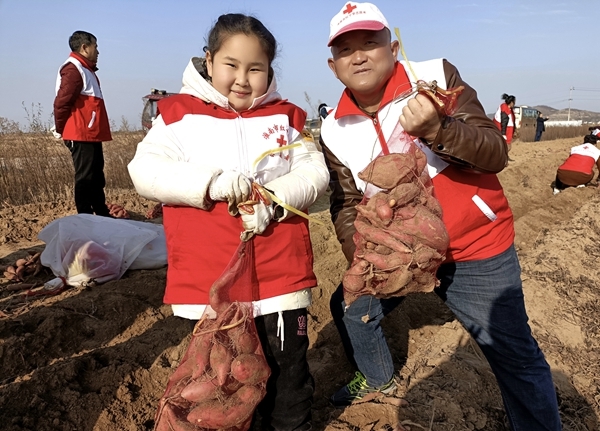 “淮小红”“爱心蜜薯”再掀热潮22