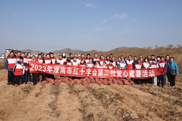 “淮小红”“爱心蜜薯”再掀热潮26