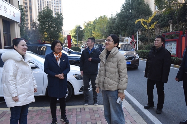 省红十字会来淮南调研评审相关工作10