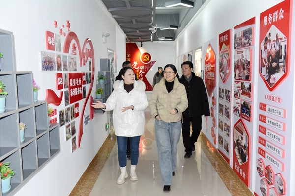 省红十字会来淮南调研评审相关工作14