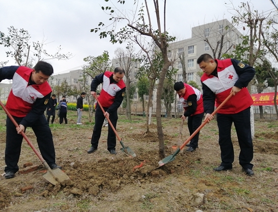 红衣绿使播撒爱3