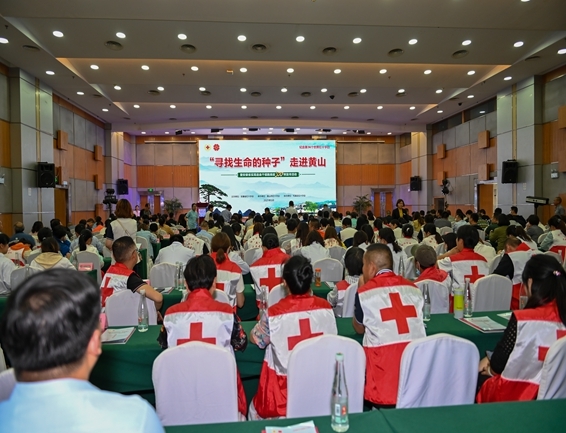 她的故事感动江淮大地4