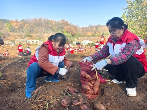 12-IMG_20251122_095206