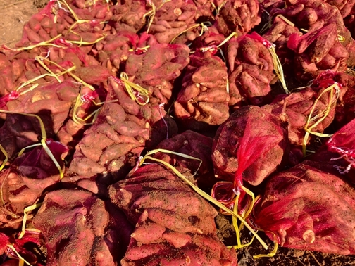 7-IMG_20251122_102452