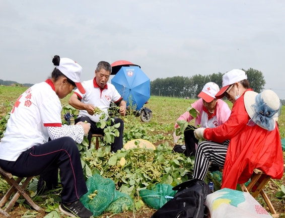 你奉献奋不顾身 我帮你毫不迟疑16