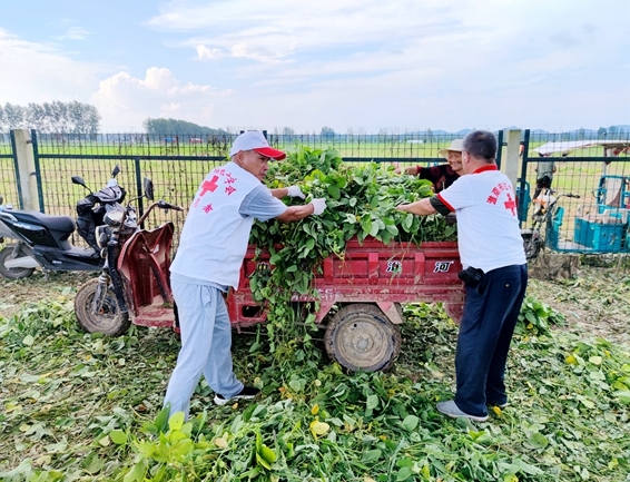 你奉献奋不顾身 我帮你毫不迟疑18