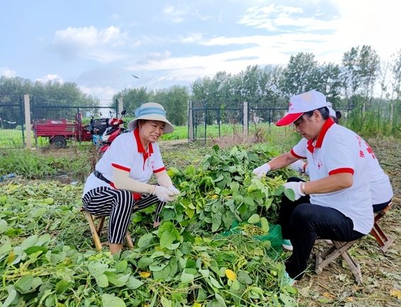 你奉献奋不顾身 我帮你毫不迟疑19