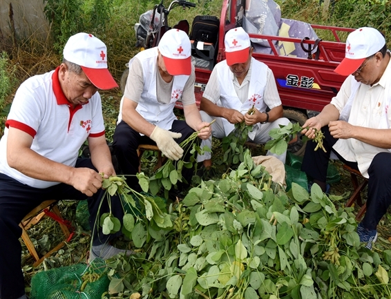 你奉献奋不顾身 我帮你毫不迟疑2