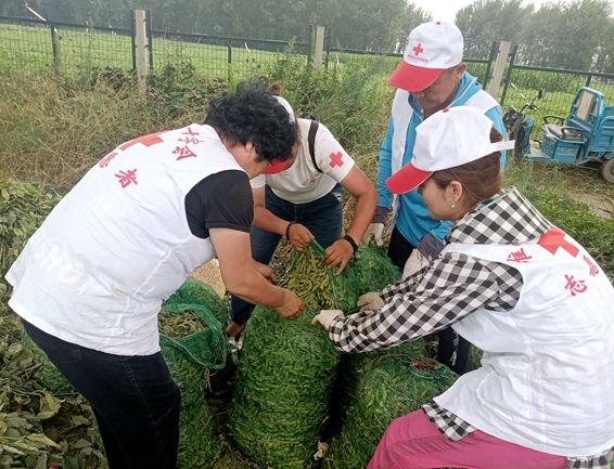 你奉献奋不顾身 我帮你毫不迟疑20