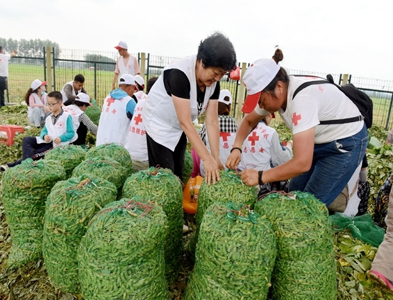 你奉献奋不顾身 我帮你毫不迟疑21
