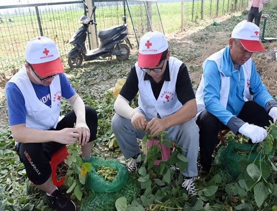 你奉献奋不顾身 我帮你毫不迟疑6