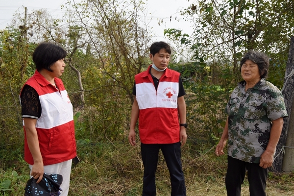 淮南市红十字会支持帮扶村产业发展5