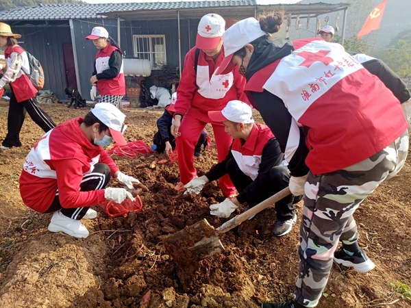 爱心蜜薯比蜜甜15