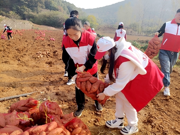 爱心蜜薯比蜜甜32