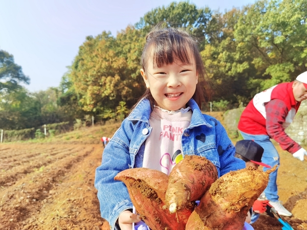 爱心蜜薯比蜜甜49