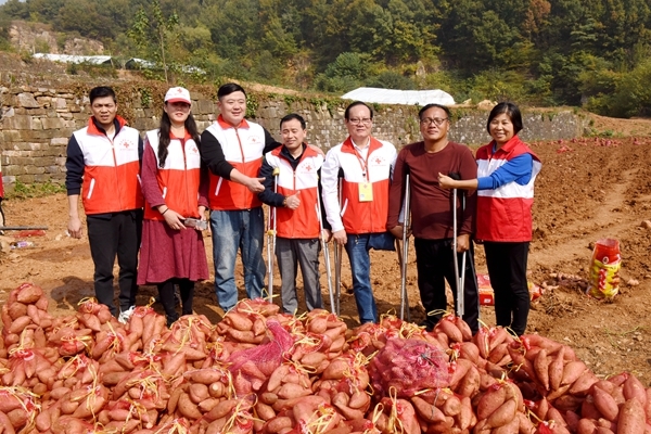 爱心蜜薯比蜜甜60