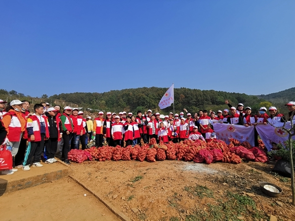 爱心蜜薯比蜜甜61