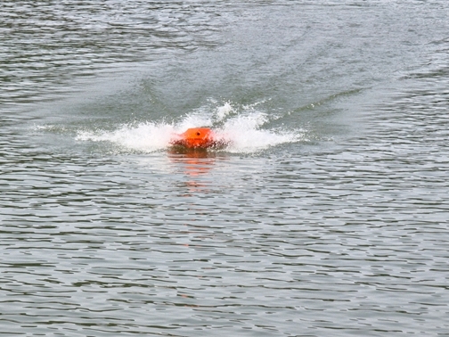 IMG_20260628_163645