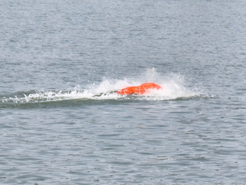 IMG_20260628_162558